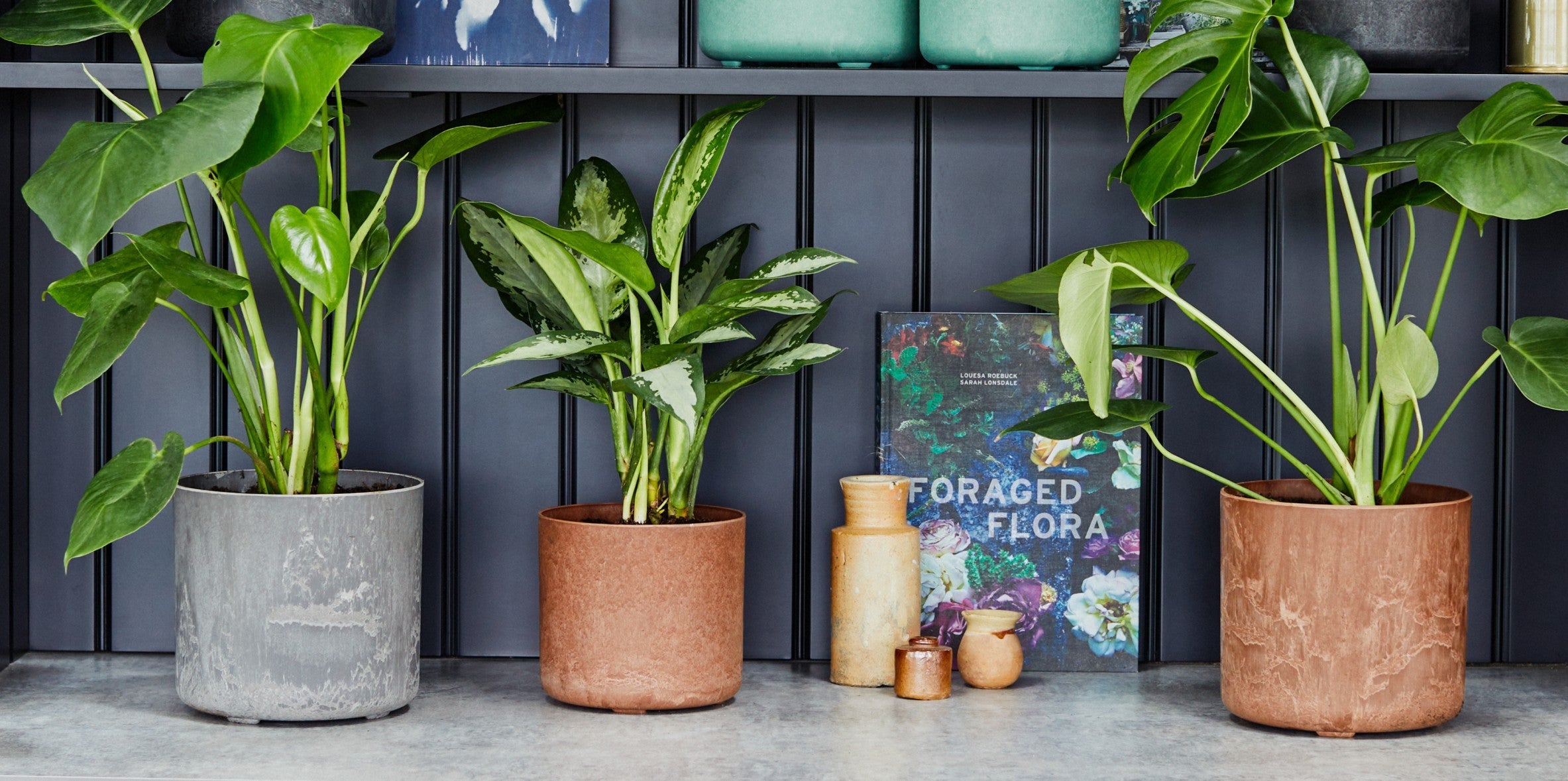 Ivyline Celine Planters - one of the many sustainable planters in our collection.