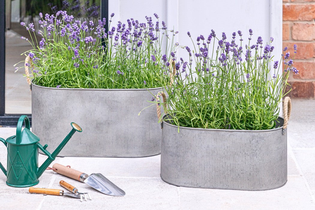 RHS National Gardening Week - the perfect time to dig into something new - literally!