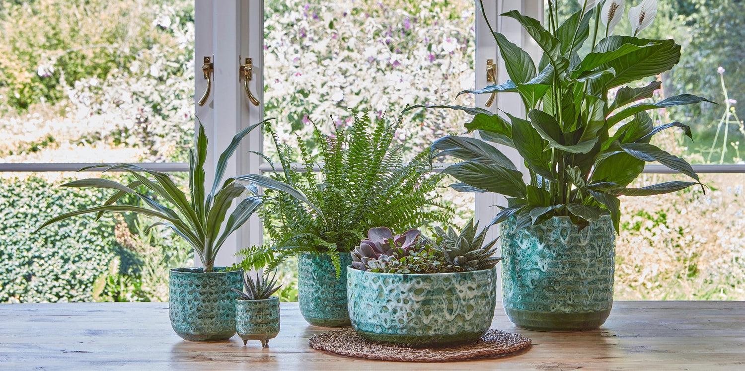 Ivyline's Reactive Glaze Planters and Bowls in emerald