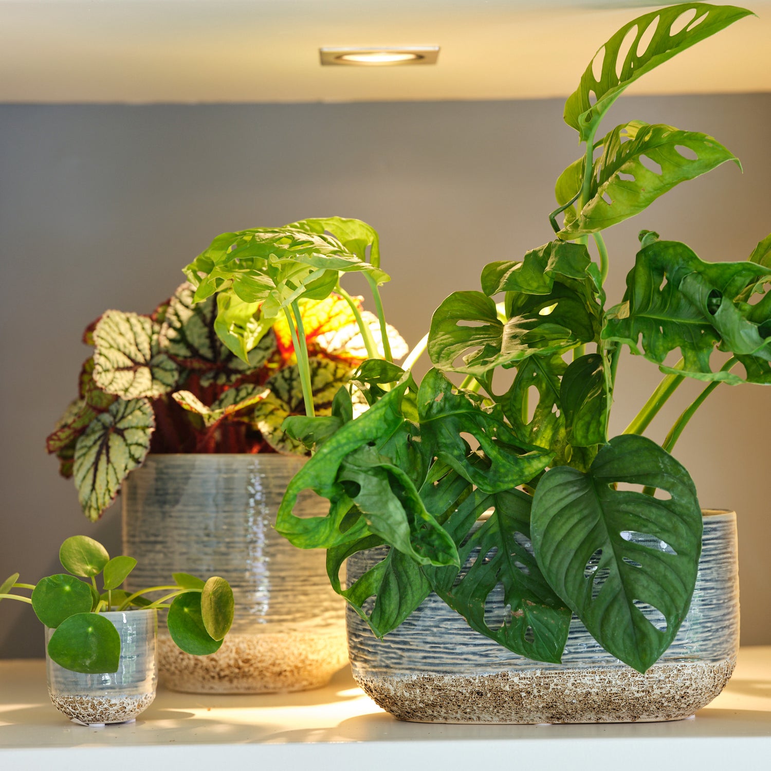 Vasto Planter