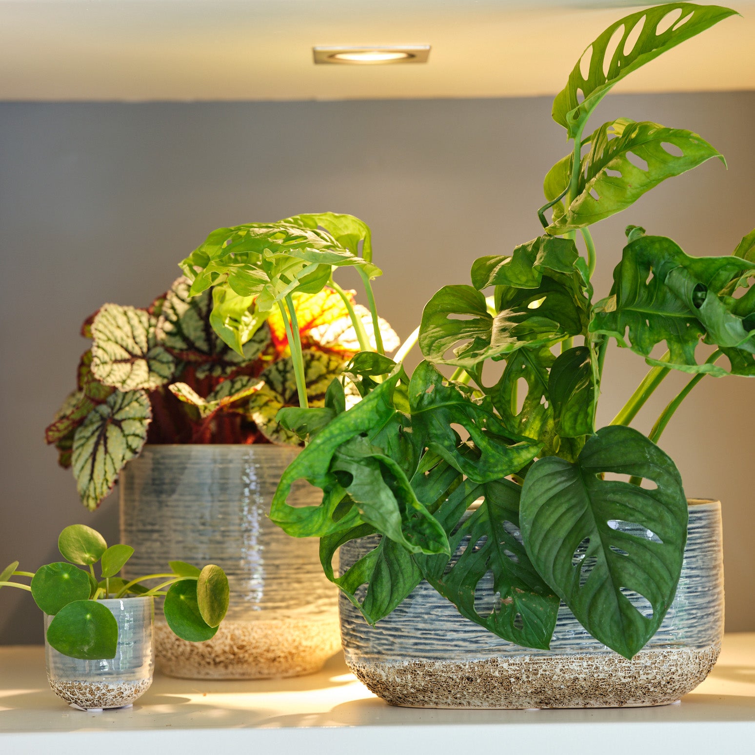 Vasto Planter