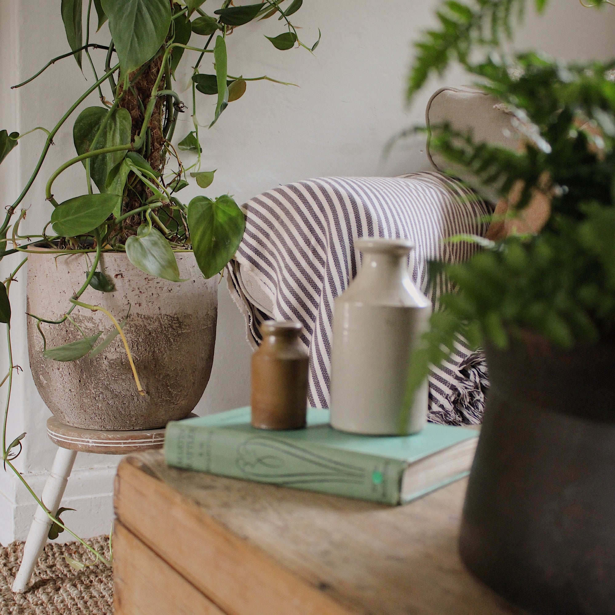 Albero Planter