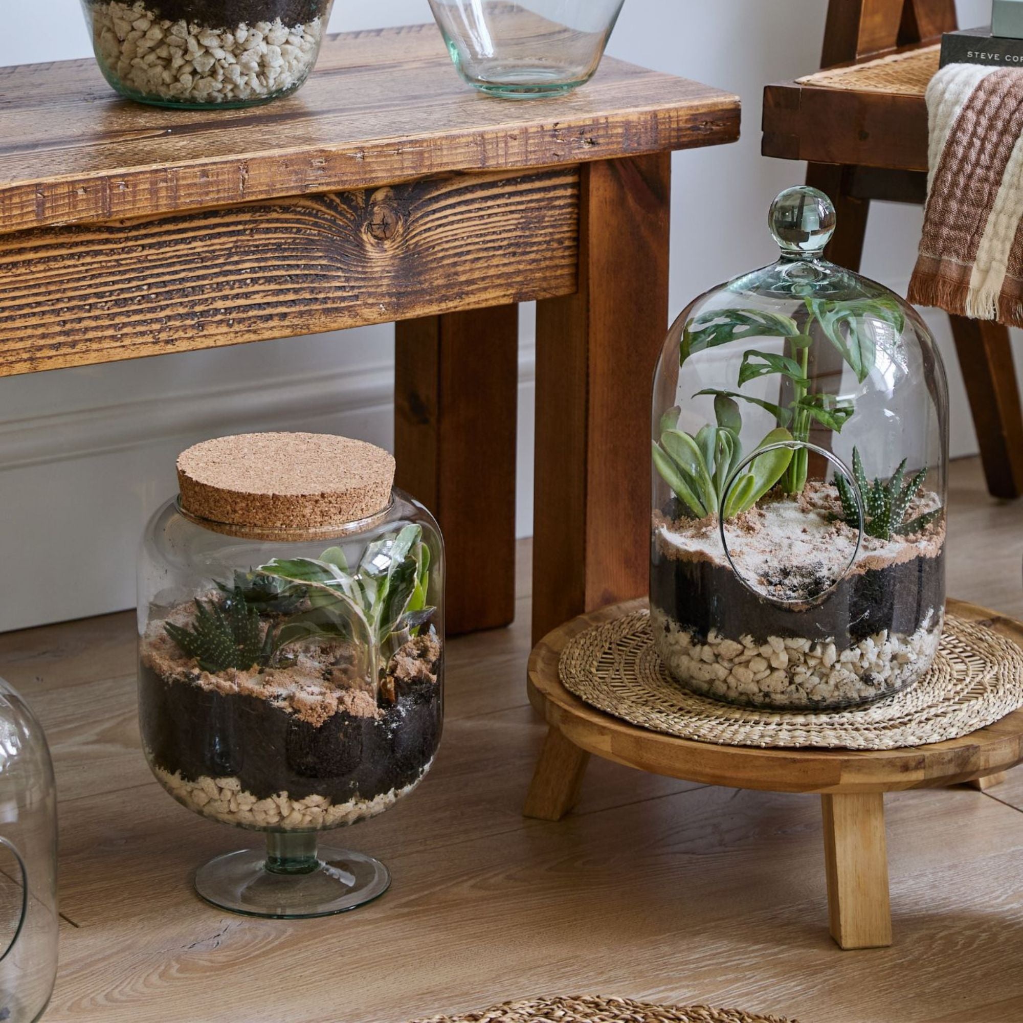 Glass Footed Cork Lid Terrarium