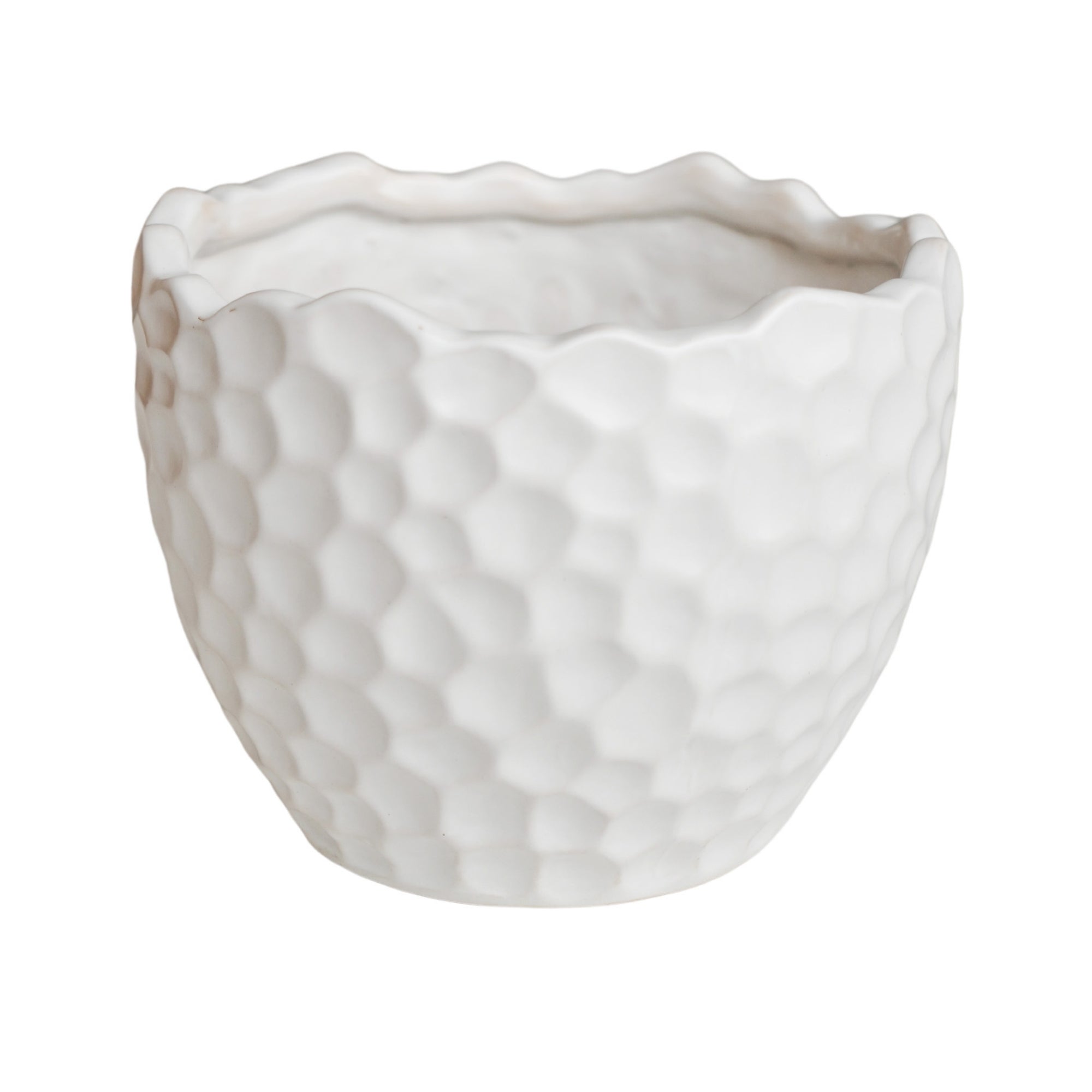 Kew Botanical Textured White Planter