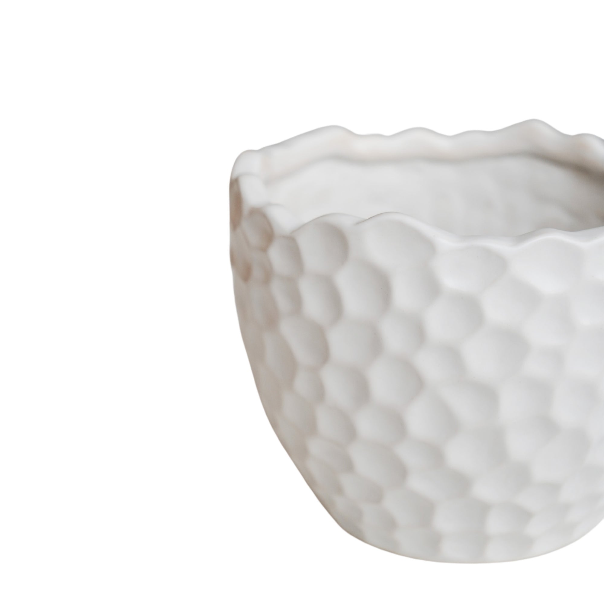 Kew Botanical Textured White Planter