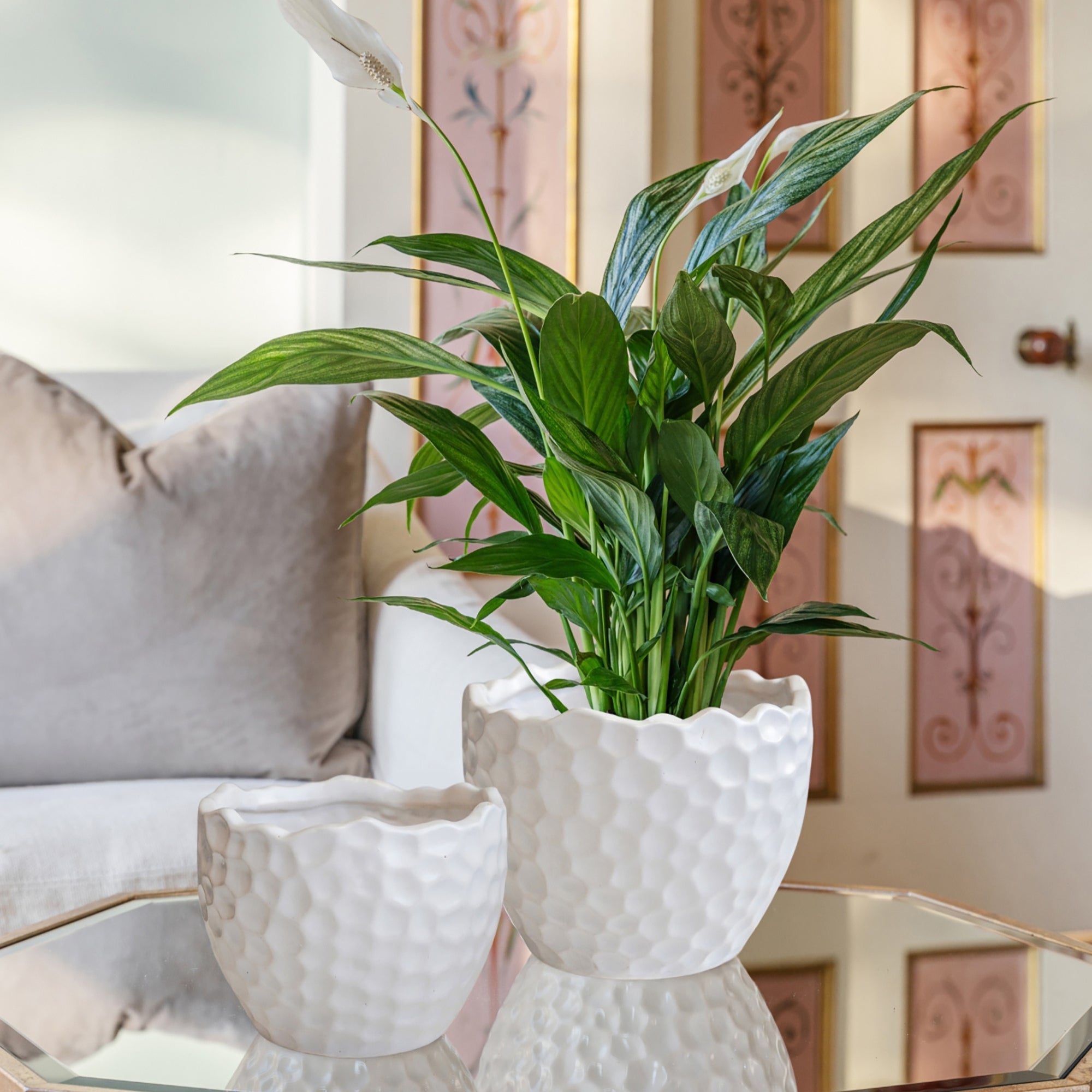 Kew Botanical Textured White Planter