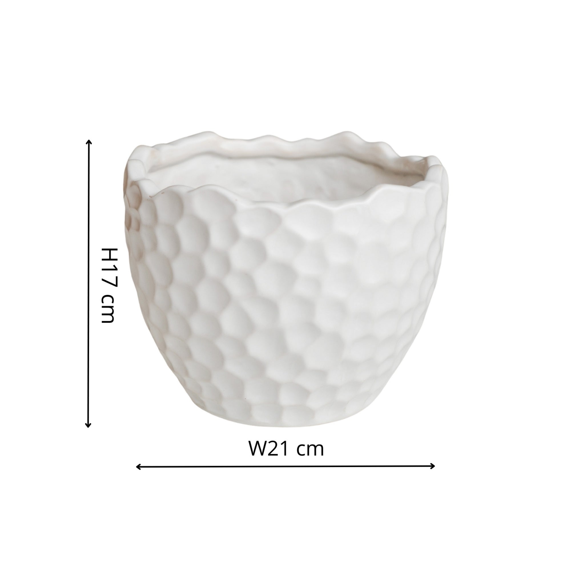 Kew Botanical Textured White Planter