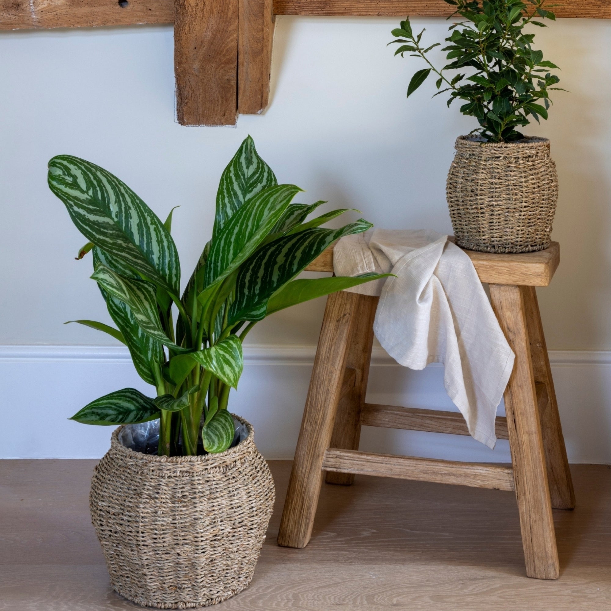 Tula Tapered Seagrass Planter Set of 2
