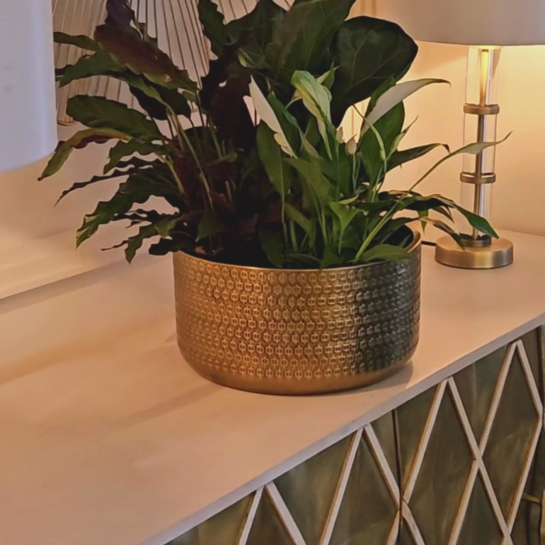 Solis Embossed Bowl Gold