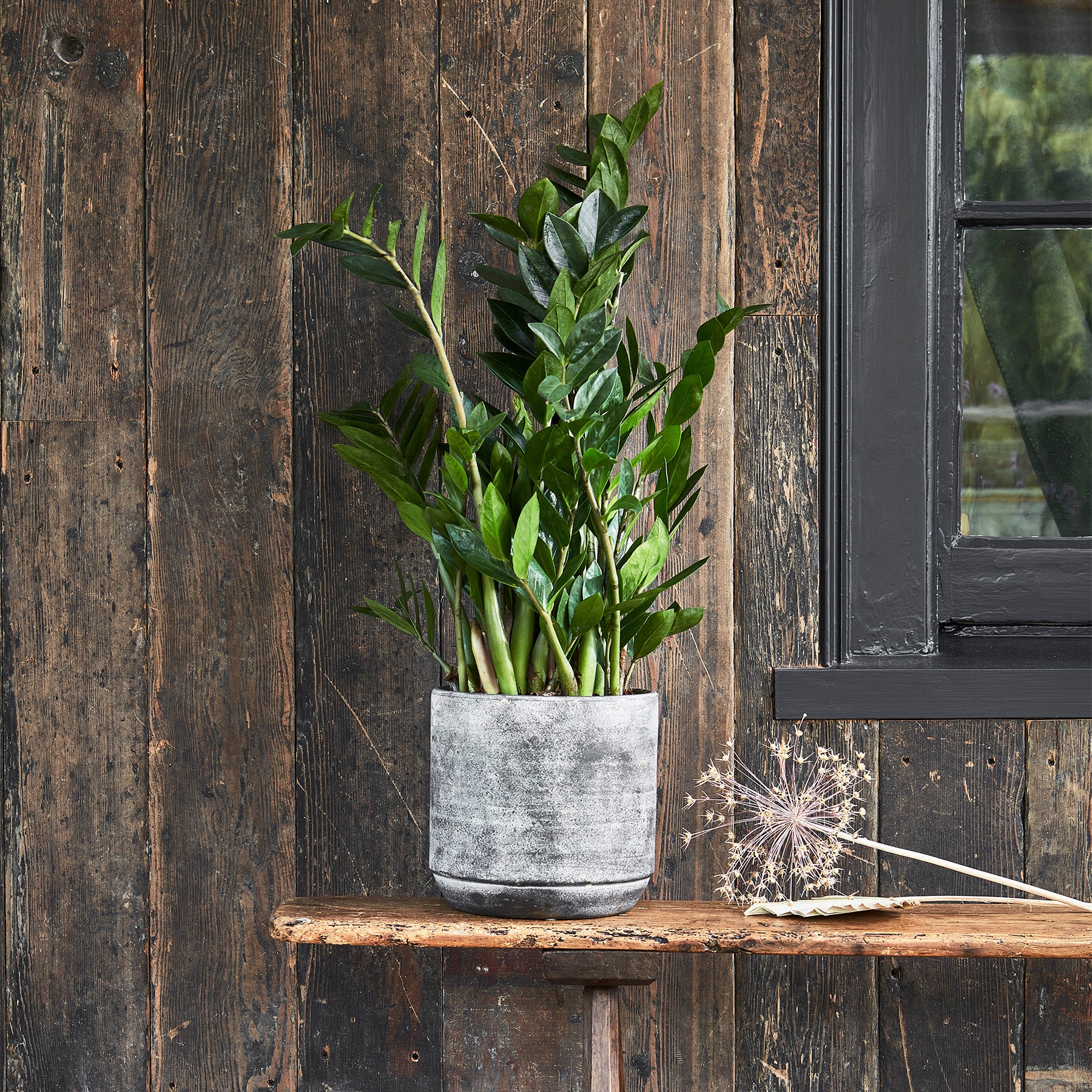 Tivoli Planter Earth