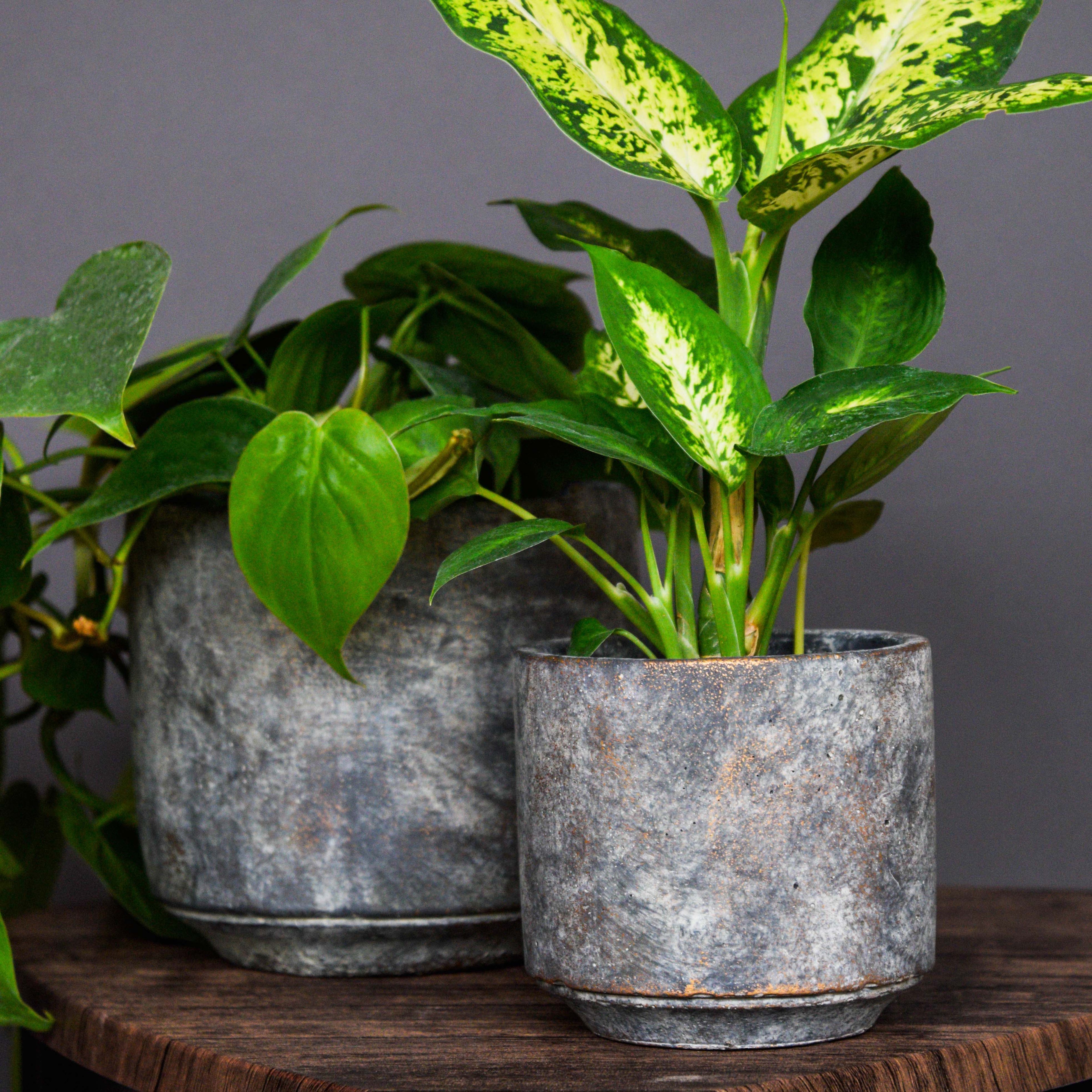 Tivoli Planter Earth