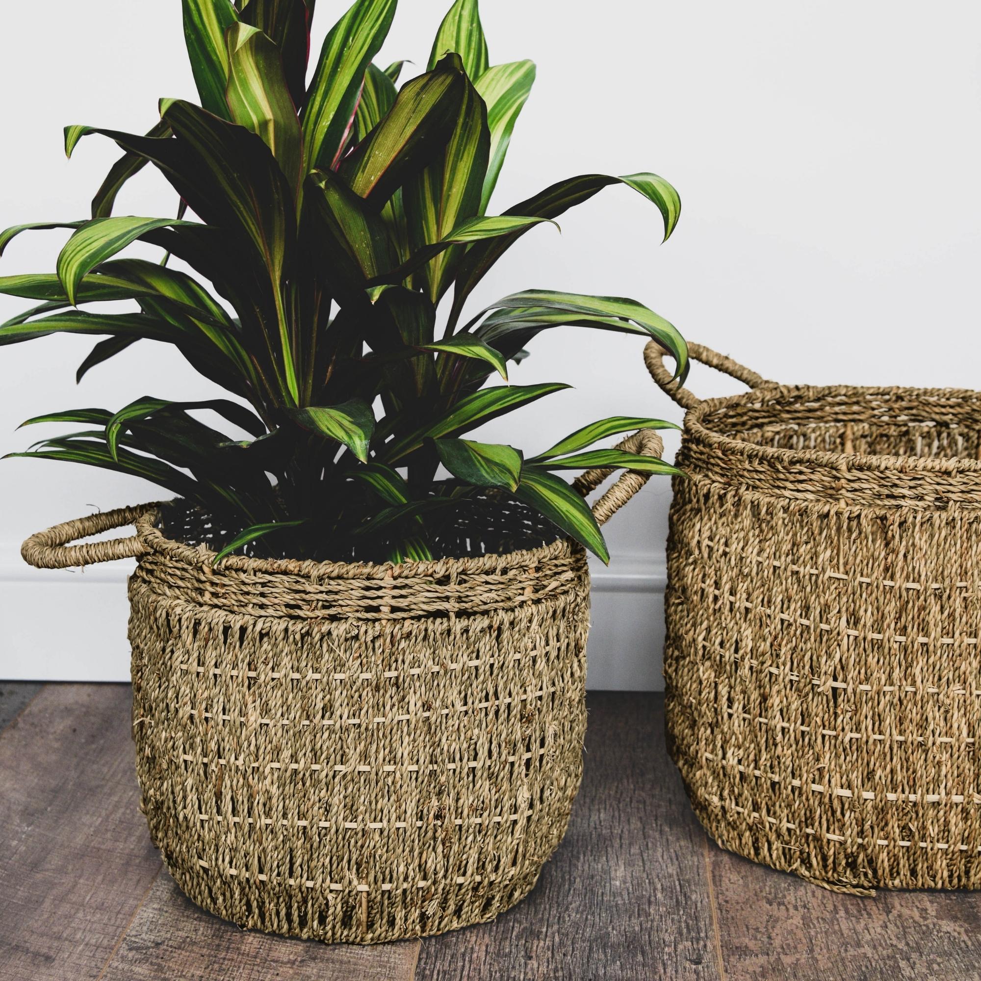Seagrass vuorattu Basket Natural -setti 2 kpl