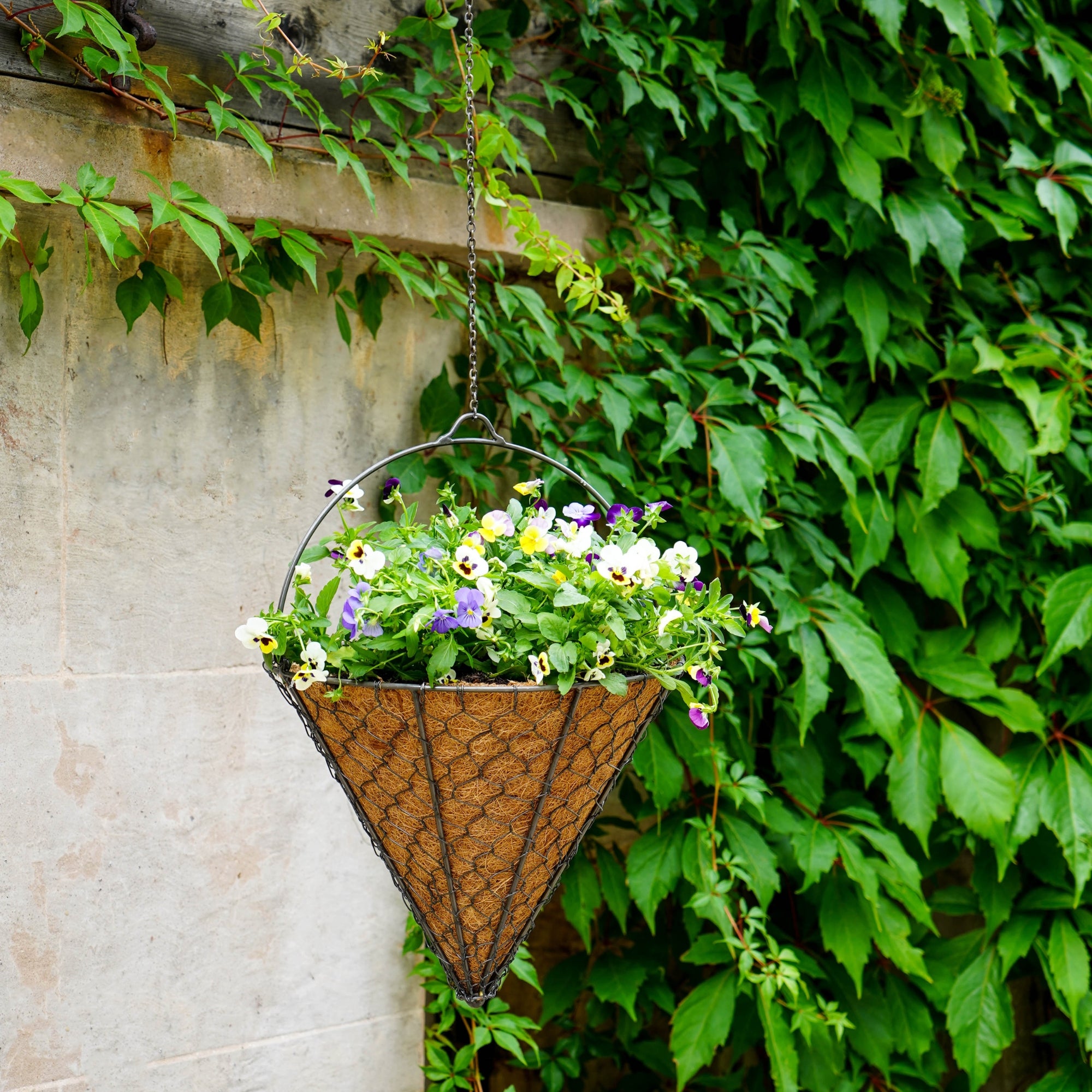 cone shaped hanging planter Outdoor Hanging Wired Netted Cone – Ivyline