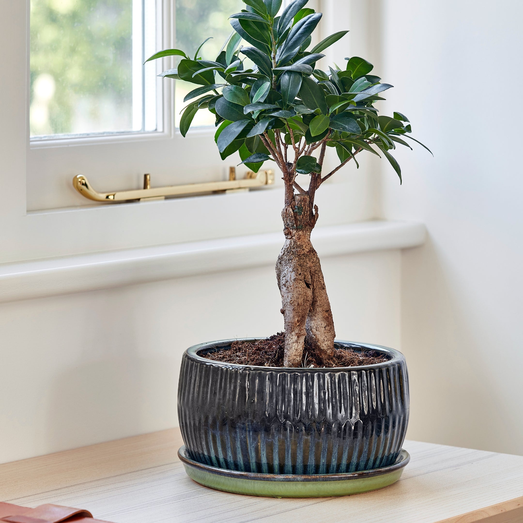 bonsai tree pots uk Reactive Glaze Round Bonsai Planter Set of 2 – Ivyline
