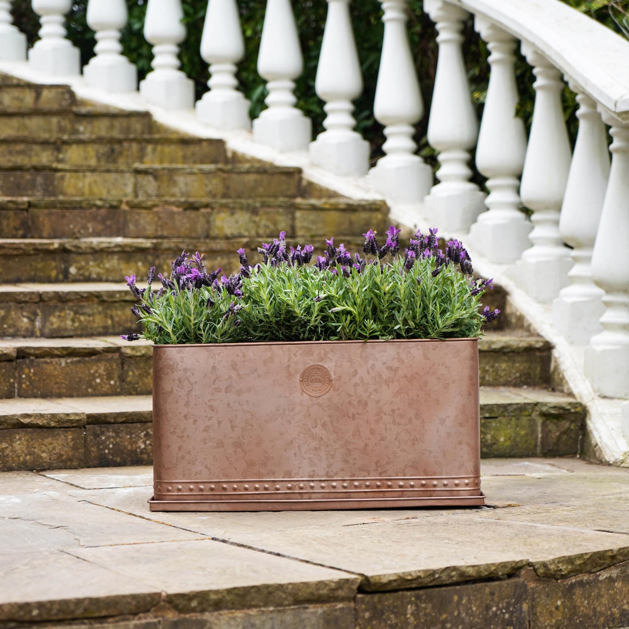 Jardinière d&