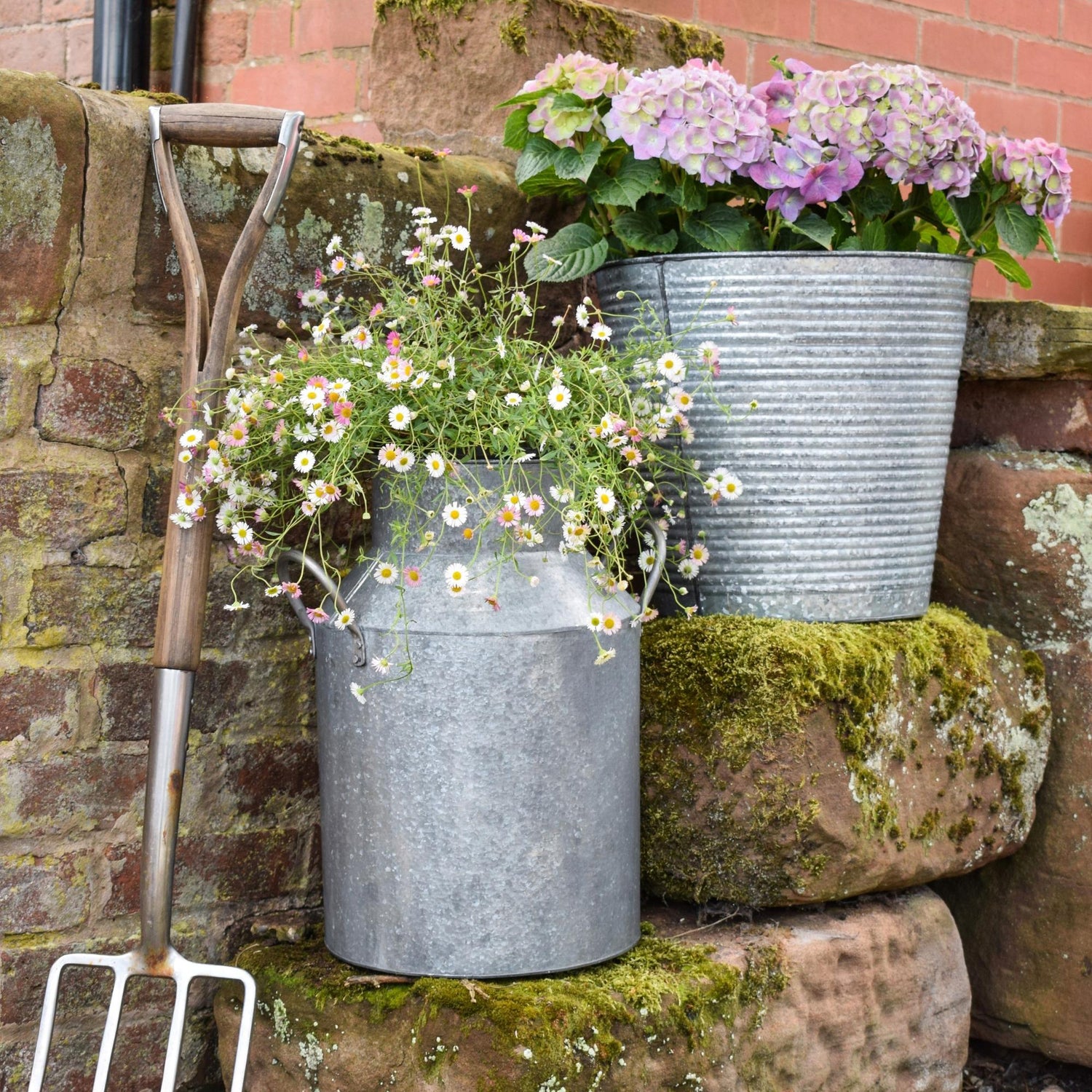 Galvanised Milk Churn
