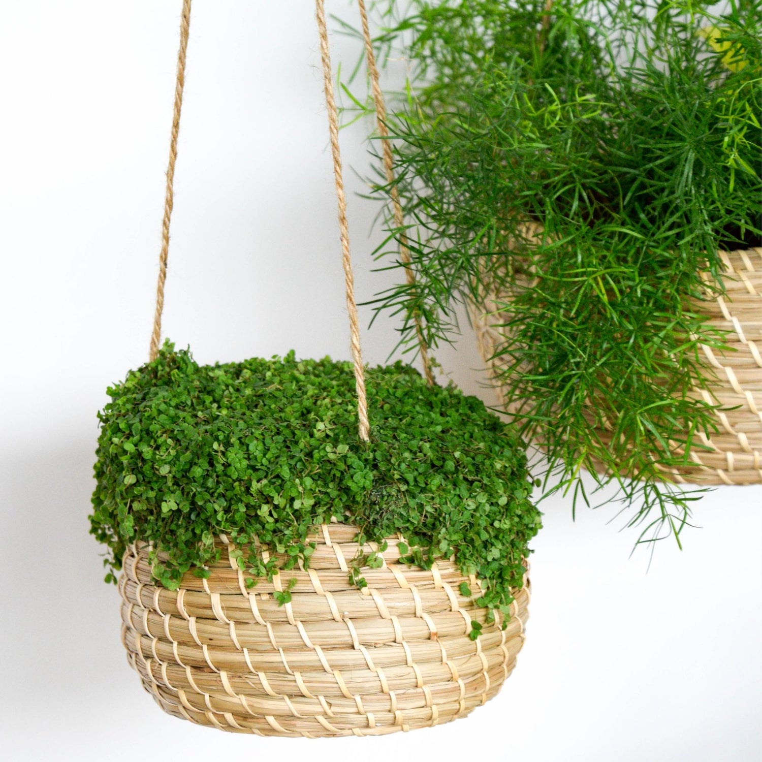 Jardinière suspendue en jonc de mer, lot de 2