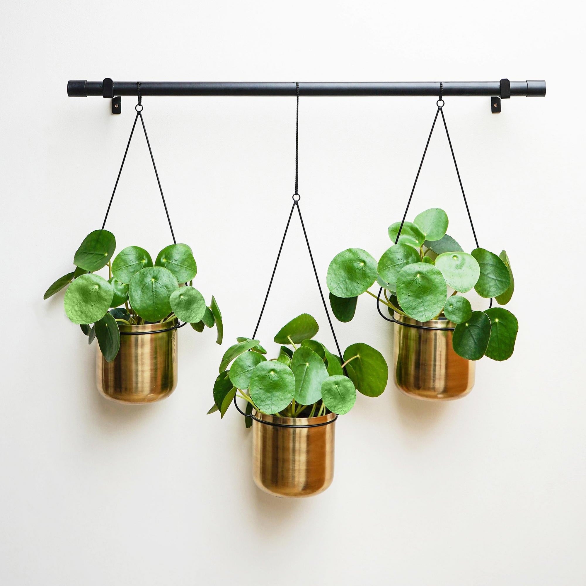 hanging plant pots uk Linear Hanging Planters Black and Gold – Ivyline