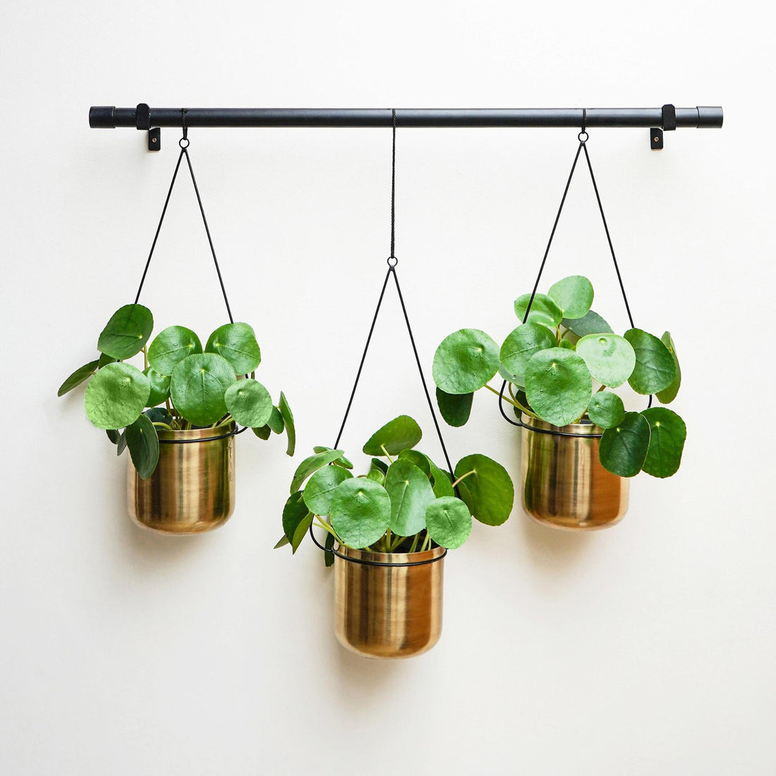 Linear Hanging Planters Black and Gold