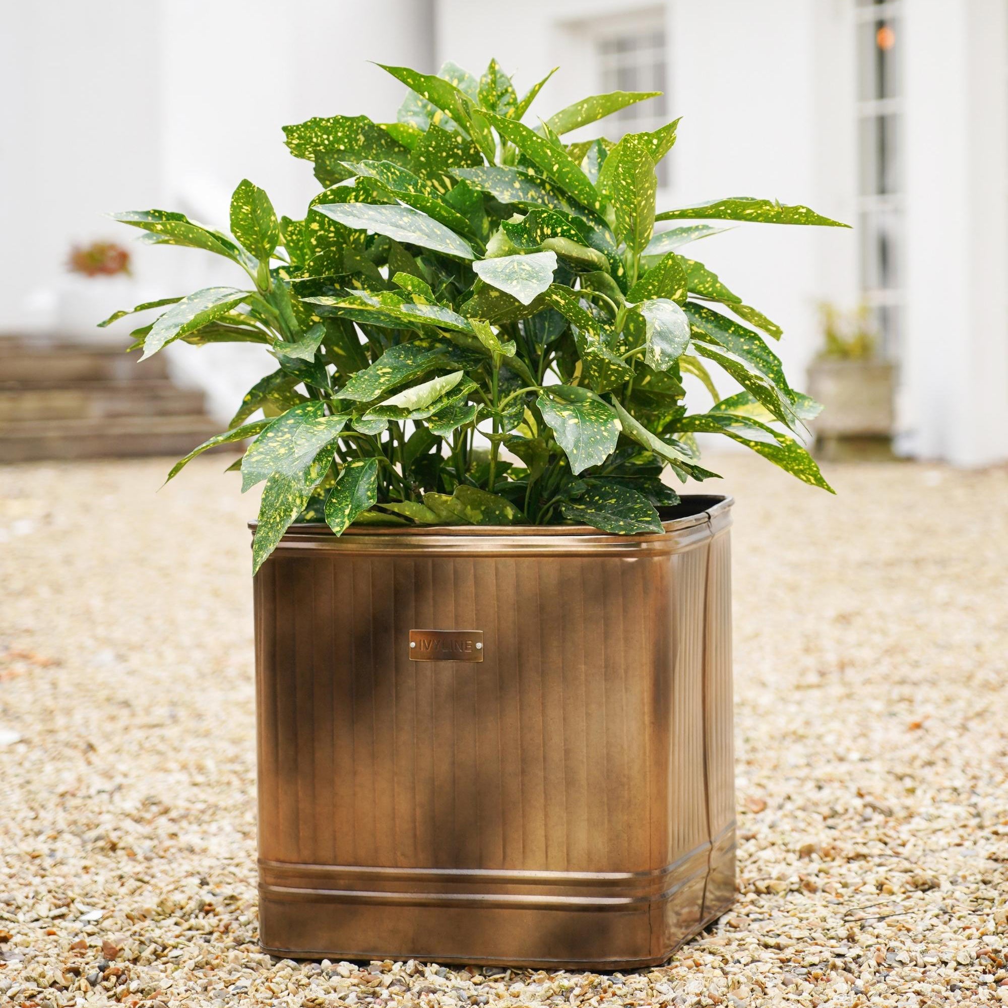 ivyline plant pots Outdoor Hampton Square Metal Planter – Ivyline