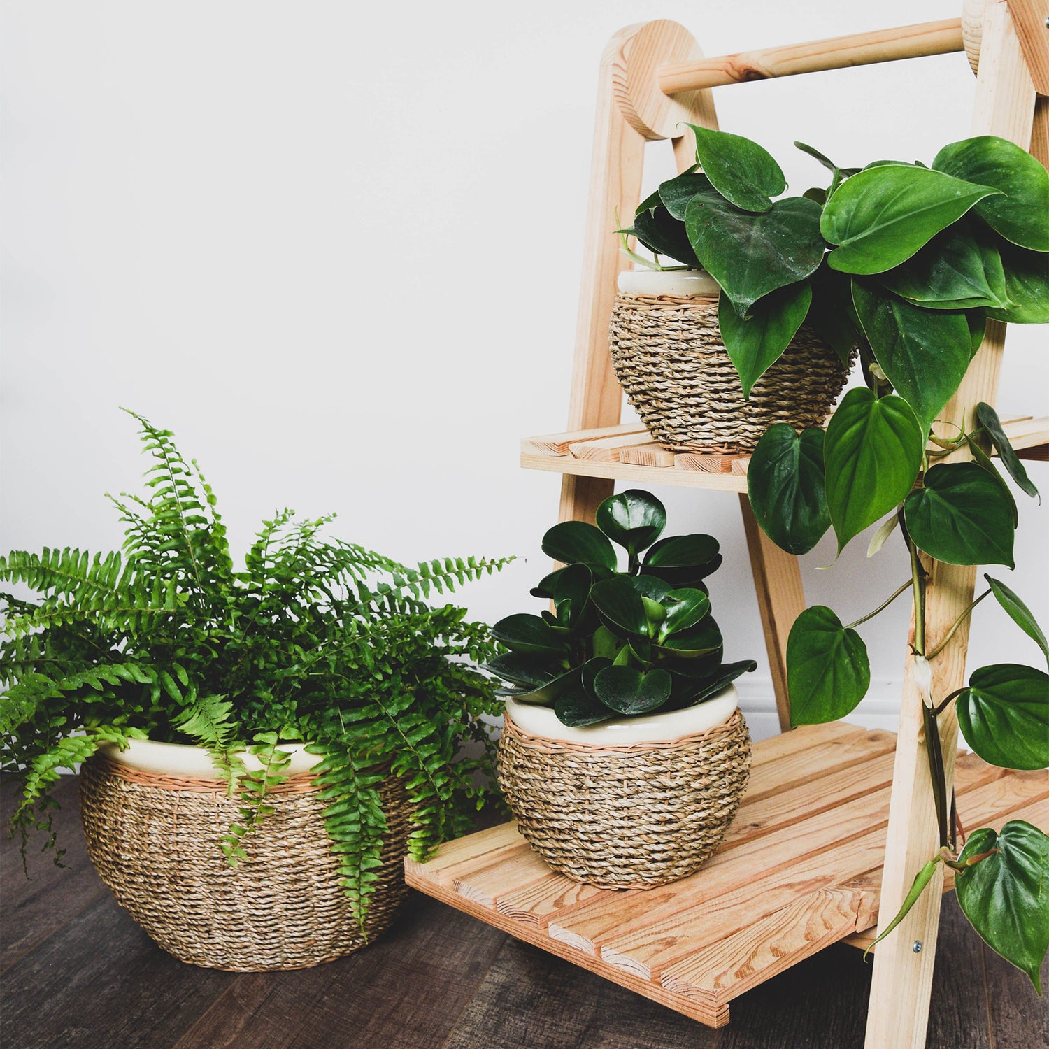 Seagrass Pot Cover Set of 2
