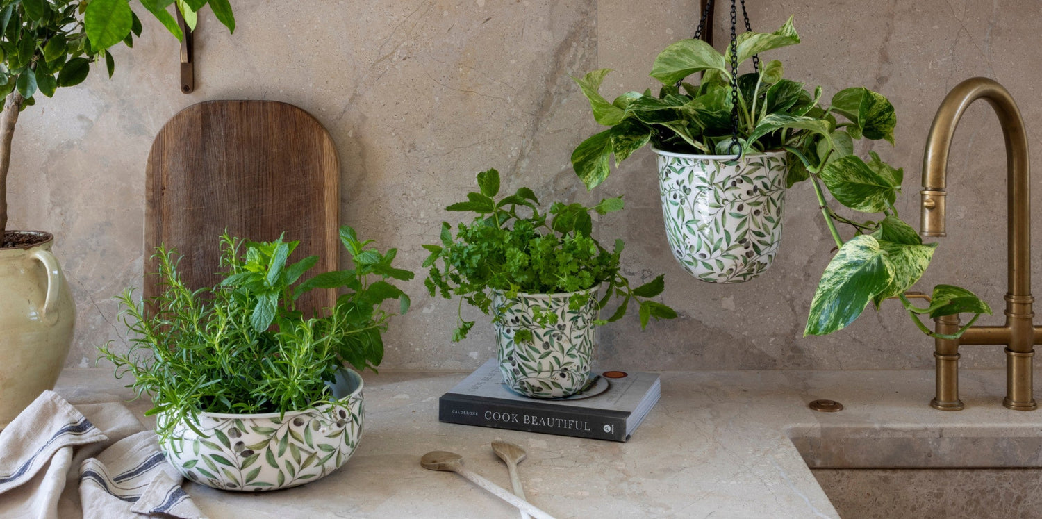 Ivyline's NEW Spring/Summer collection for 2026