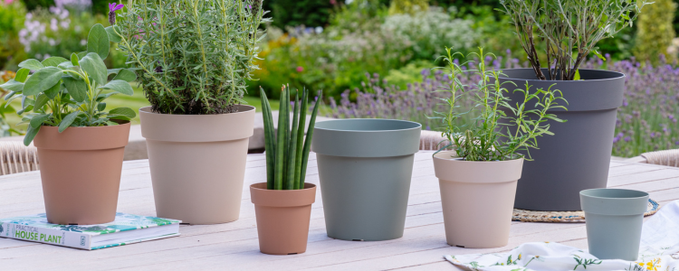 A selection of Ivyline's NEW Landscape planters