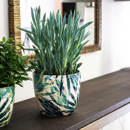 monza plant pot Monza Planter – Ivyline