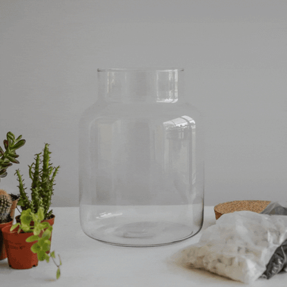 Bottle Shape Large Terrarium DIY Kit