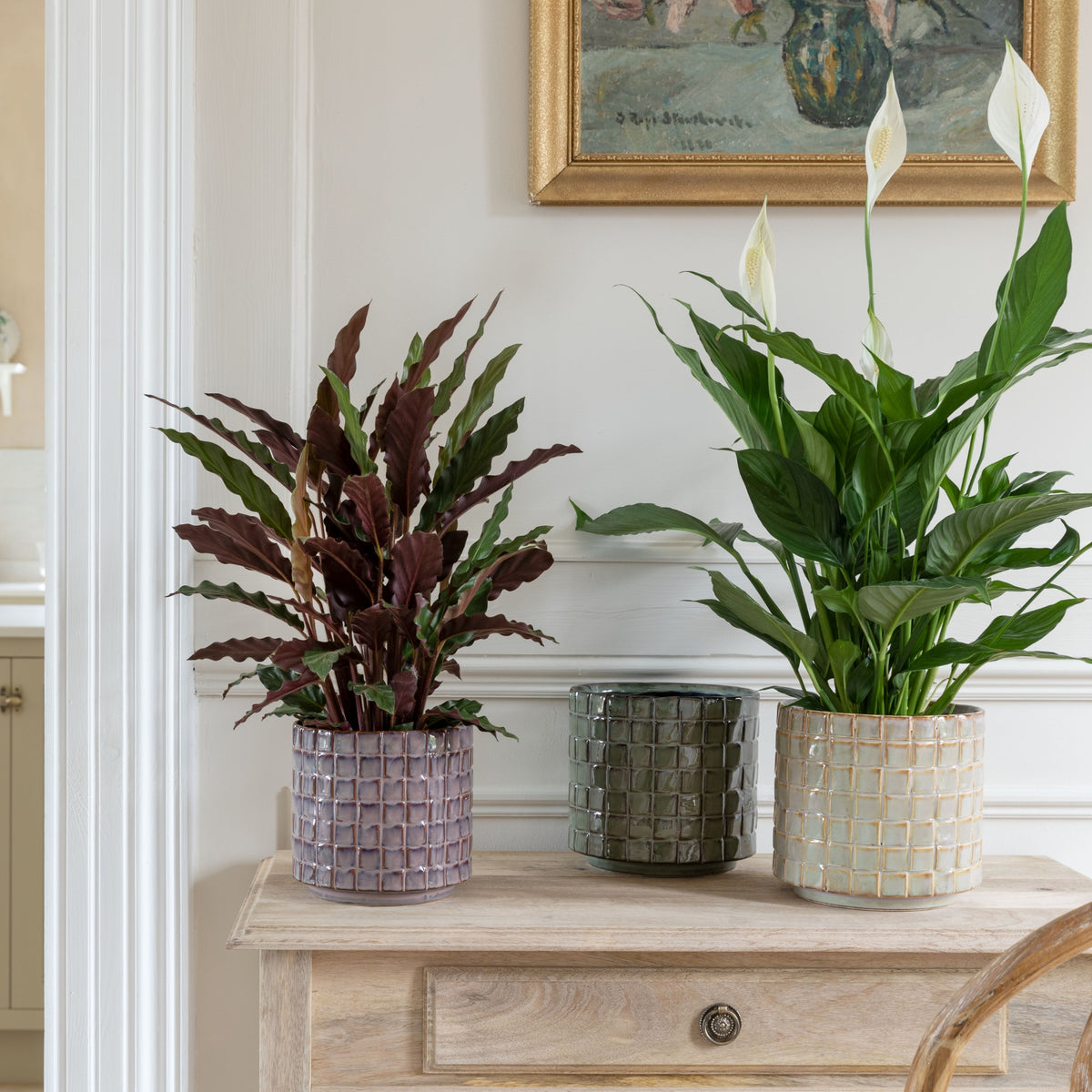 Tarah Textured Glaze Planter