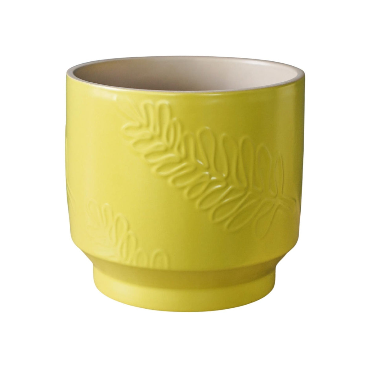 Botanist Leaf Embossed Planter