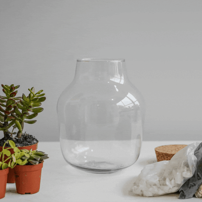 Angluar Glass Small Terrarium DIY Kit