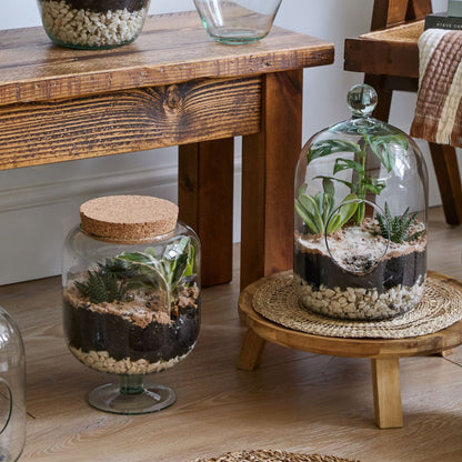Glass Footed Cork Lid Terrarium