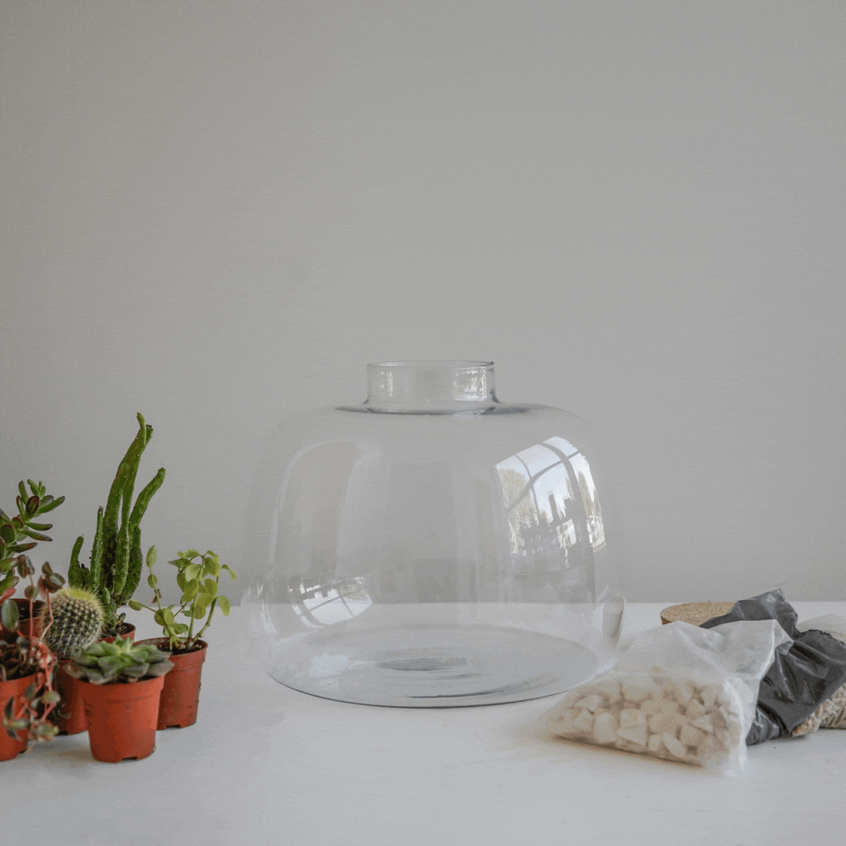 Bowl Shape Terrarium DIY Kit