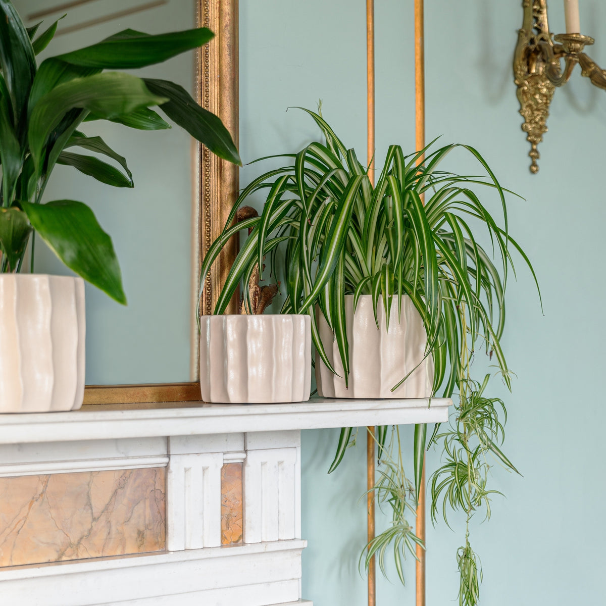 Kew Organic Ripple Bone Planter