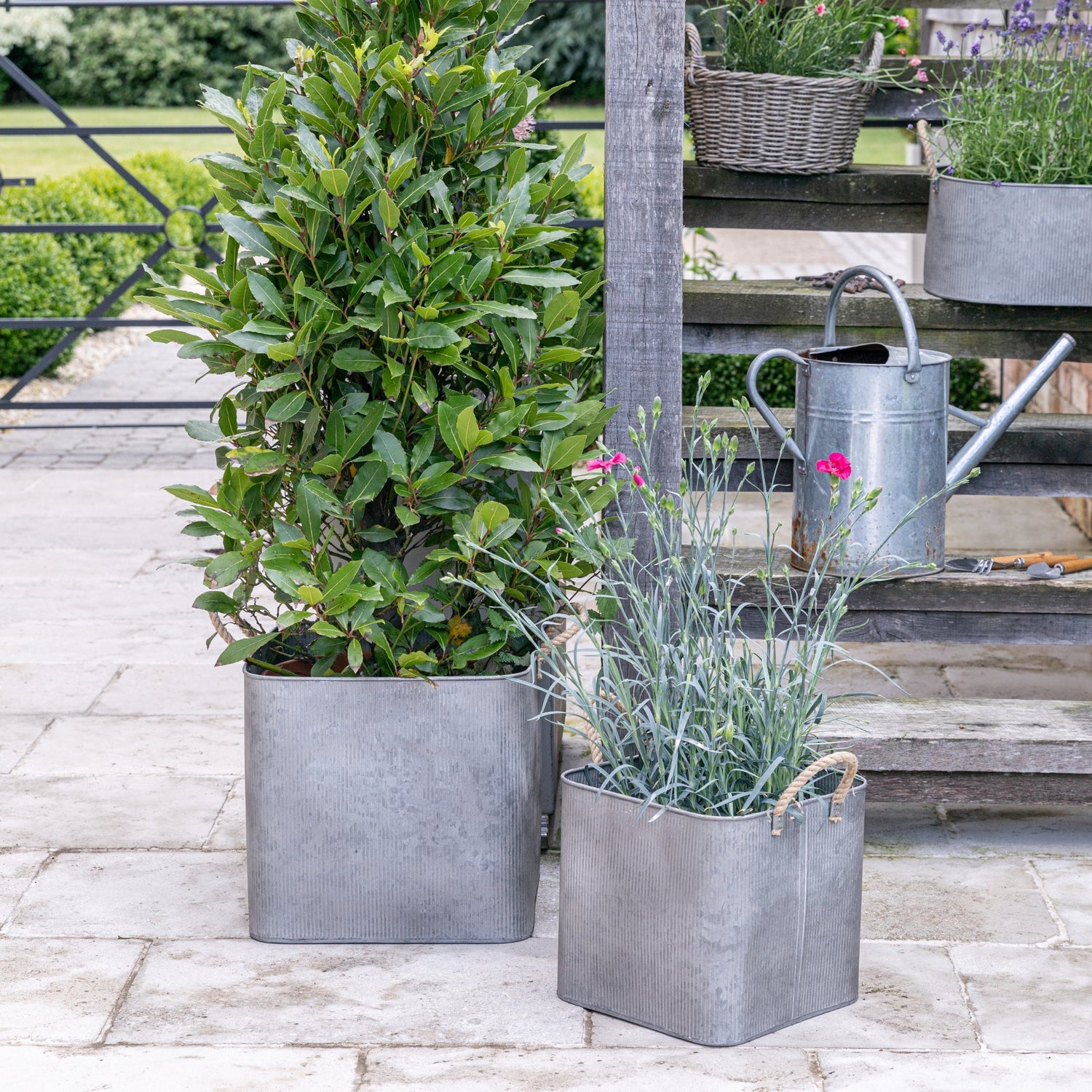 Outdoor Galvanised Rope Handle Square Planter Set of Two