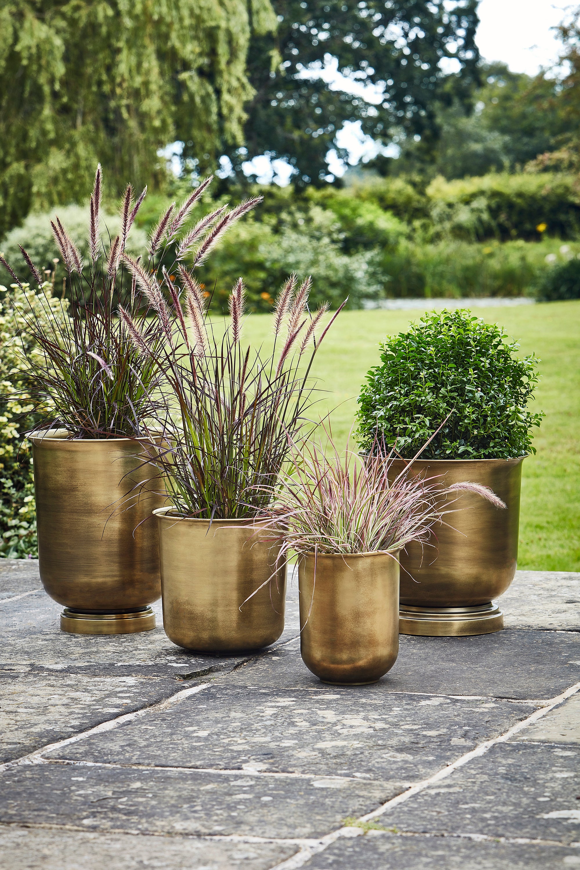 Ivyline 14cm Olive Clovelly Pot main image 1