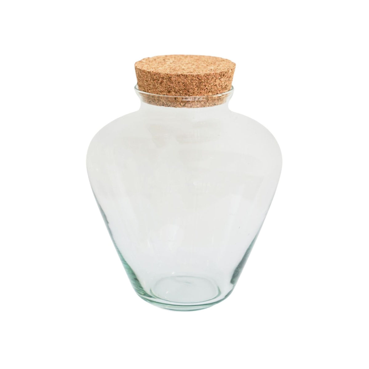 Teardrop Glass Lid Terrarium