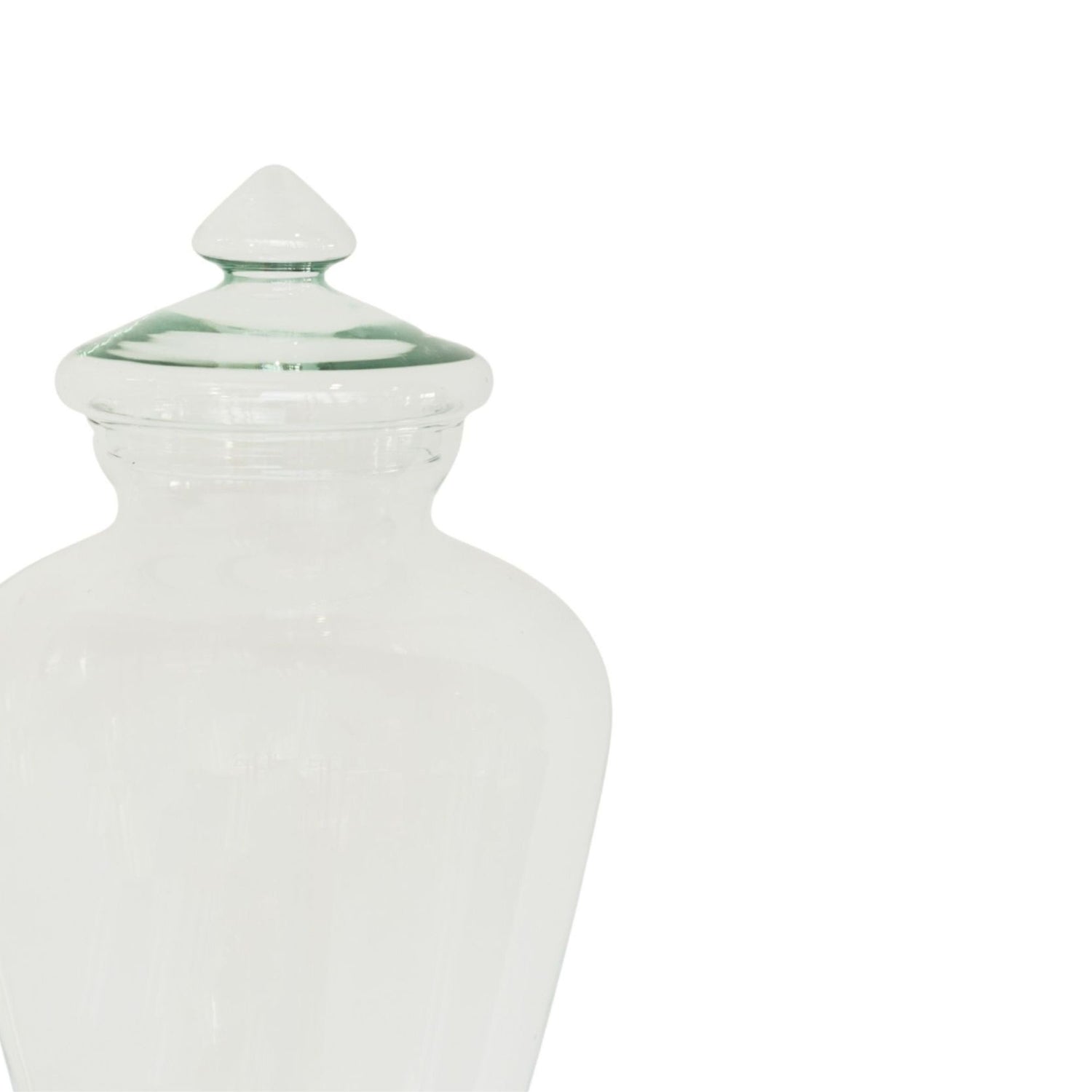 Teardrop Glass Lid Terrarium