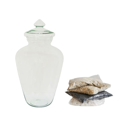 Teardrop Glass Lid Terrarium