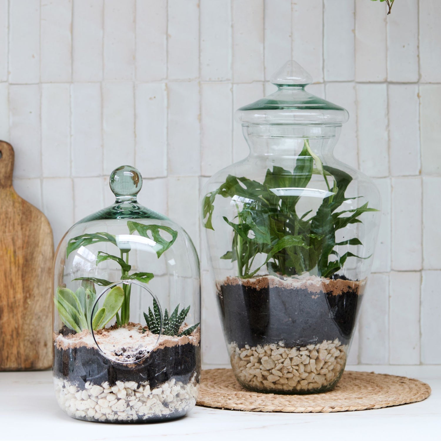 Teardrop Glass Lid Terrarium