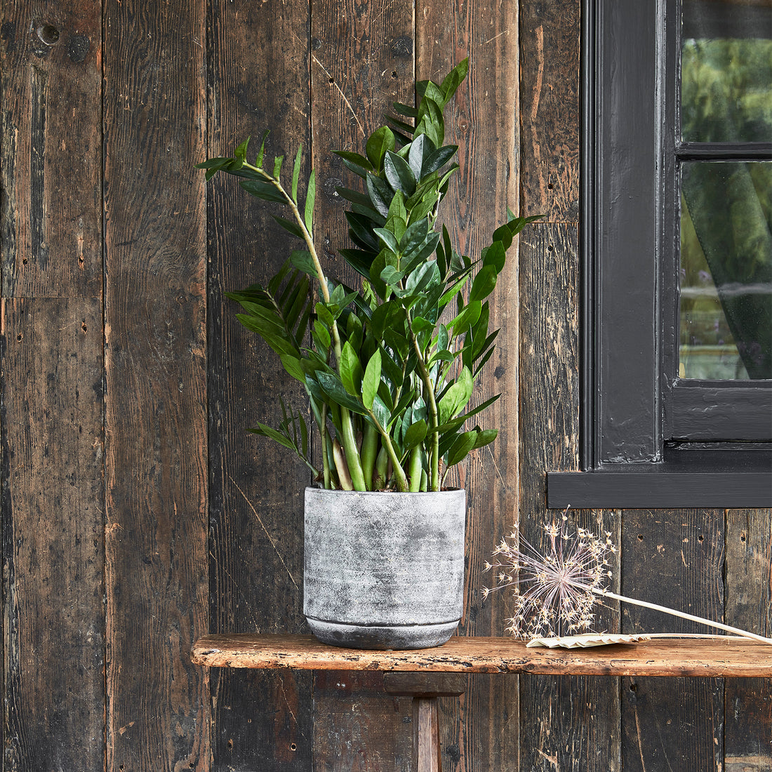 Tivoli Planter Earth