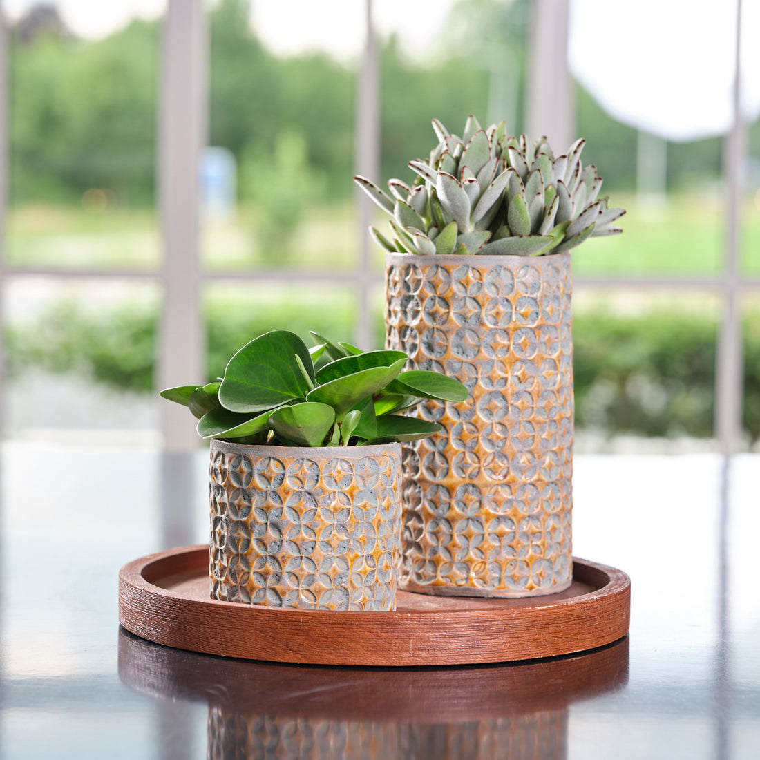 Terni Planter Mustard