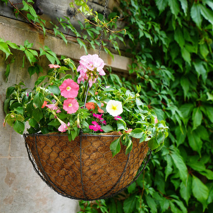 hanging basket plants uk Outdoor Hanging Wired Netted Basket – Ivyline