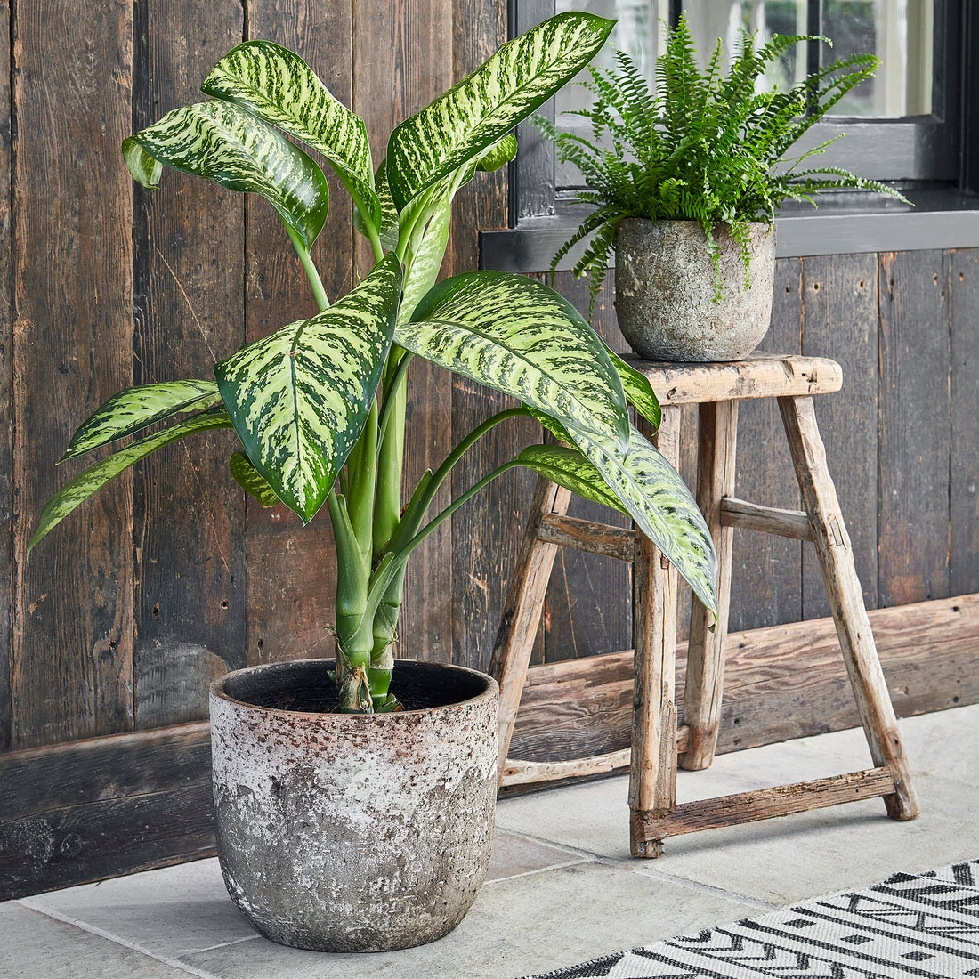 Jardinière Albéro