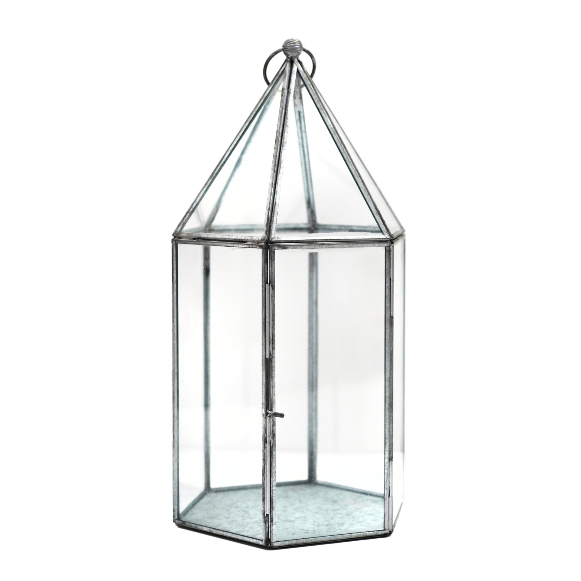 Glasshouse Terrarium