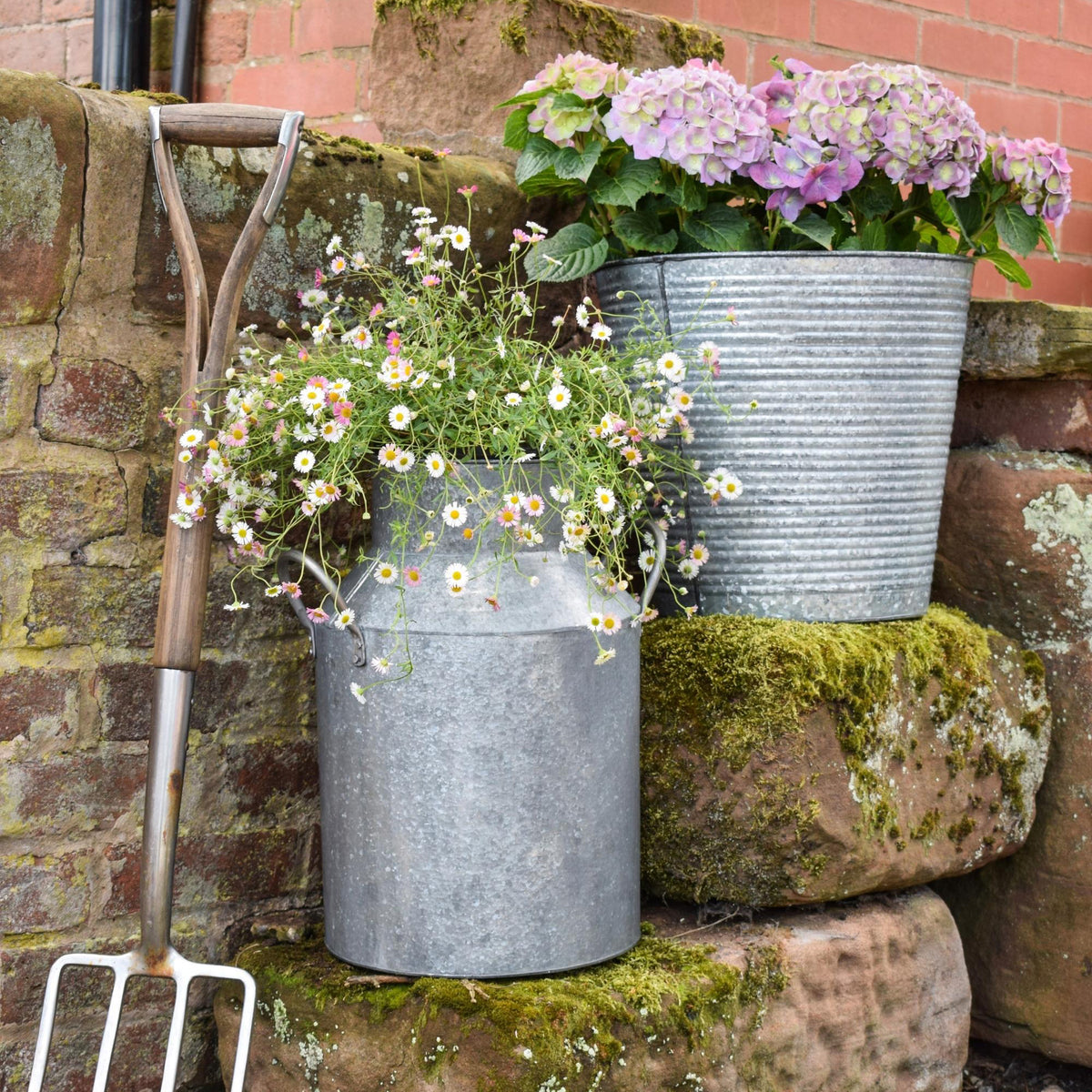 Galvanised Milk Churn
