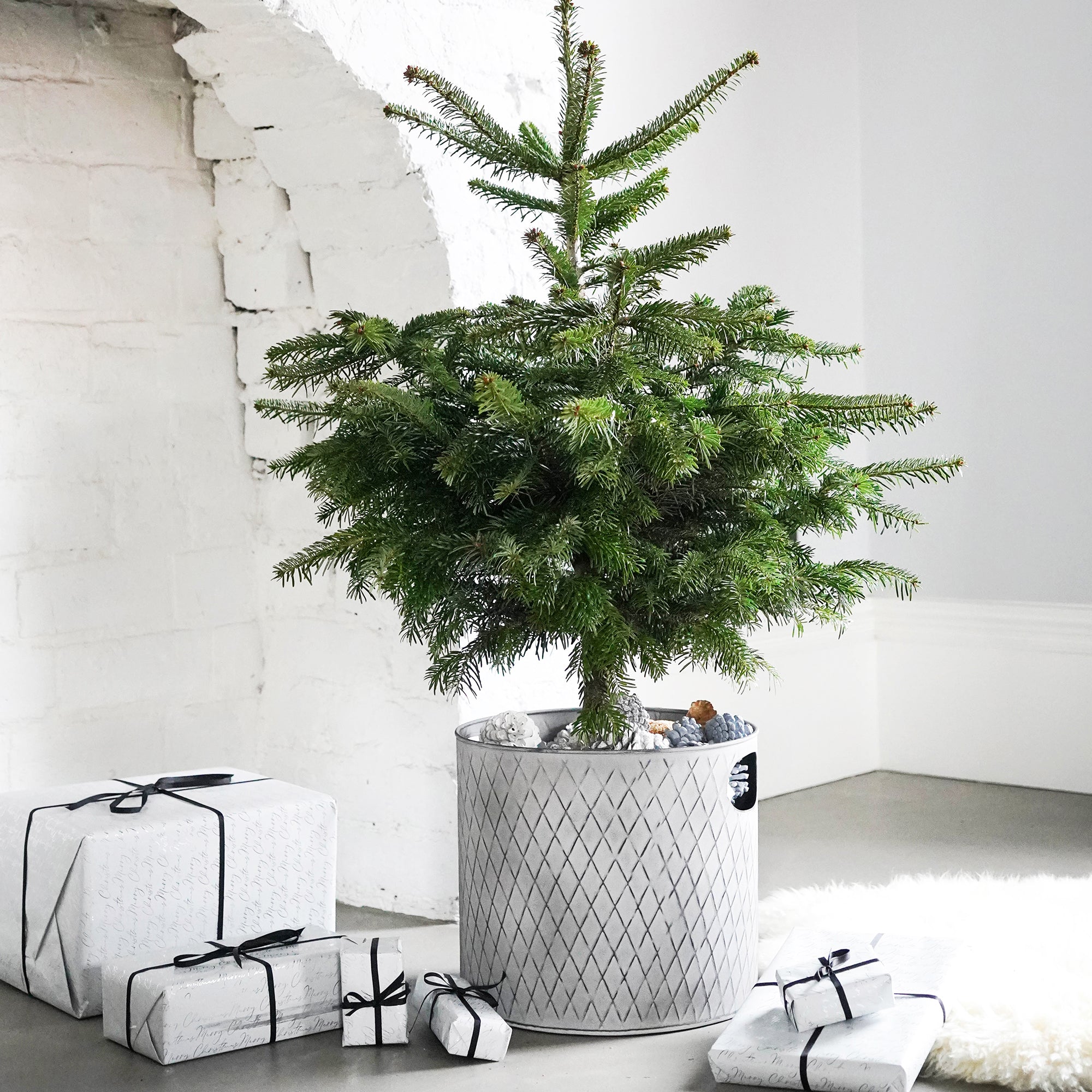 Indoor Christmas Tree Bucket Zinc – Ivyline