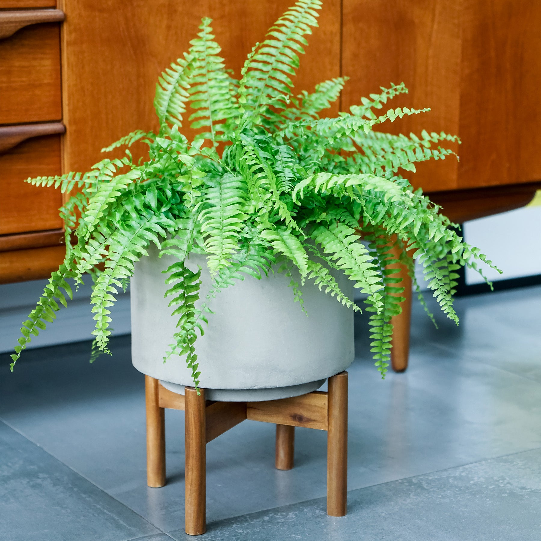 Vigo Concrete Planter Stand